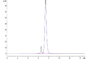 The purity of Human GITR Ligand Trimer is greater than 95 % as determined by SEC-HPLC. (TNFSF18 Protein (Trimer) (His-DYKDDDDK Tag))