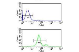 ASIC1 antibody flow cytometric analysis of CEM cells (bottom histogram) compared to a negative control (top histogram).
