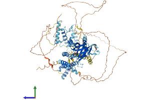 AlphaFold protein structure predicition of Human Recombinant MYSM1 Protein, UniprotID Q5VVJ2