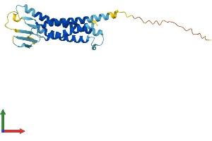 AlphaFold protein structure predicition of Mouse Recombinant Cldn8 Protein, UniprotID Q9Z260