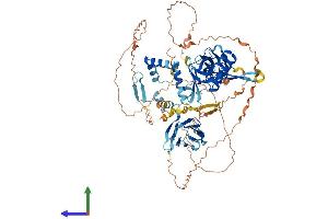 AlphaFold protein structure predicition of Mouse Recombinant Dnaaf2 Protein, UniprotID Q8BPI1