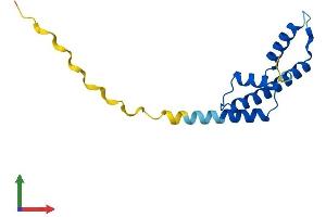 AlphaFold protein structure predicition of Mouse Recombinant Cenpa Protein, UniprotID O35216