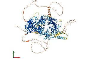 AlphaFold protein structure predicition of Mouse Recombinant C2cd5 Protein, UniprotID Q7TPS5