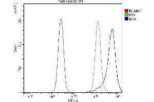 Flow Cytometry analysis of K562 cells using anti-BCR antibody (ABIN7601180). (BCR anticorps  (AA 3-264))