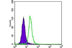 Flow cytometric analysis of SK-BR-3 cells using SCGB2A2 mouse mAb (green) and negative control (purple).
