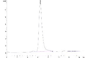 The purity of Human CD30 is greater than 95 % as determined by SEC-HPLC.