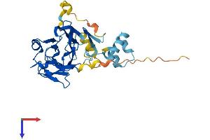 AlphaFold protein structure predicition of Mouse Recombinant Neurl2 Protein, UniprotID Q9D0S4