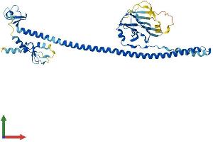 AlphaFold protein structure predicition of Human Recombinant TRIM64B Protein, UniprotID A6NI03
