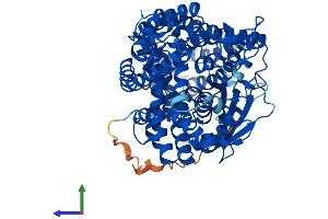 AlphaFold protein structure predicition of Human Recombinant THOP1 Protein, UniprotID P52888