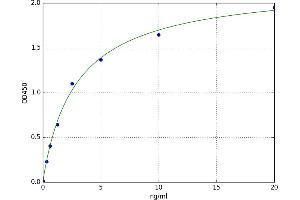 A typical standard curve (HDAC7 Kit ELISA)