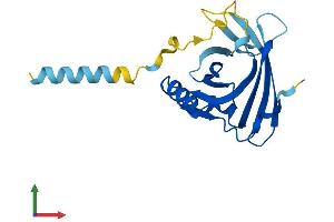 AlphaFold protein structure predicition of Mouse Recombinant Apom Protein, UniprotID Q9Z1R3