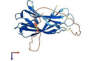 AlphaFold protein structure predicition of Human Recombinant SYT14P1 Protein, UniprotID Q58G82