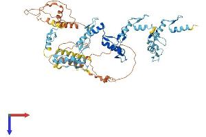 AlphaFold protein structure predicition of Human Recombinant ZNF549 Protein, UniprotID Q6P9A3