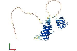 AlphaFold protein structure predicition of Human Recombinant RPA2 Protein, UniprotID P15927