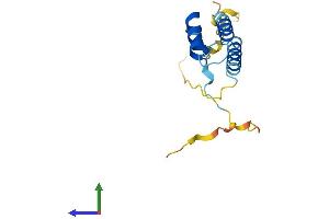 AlphaFold protein structure predicition of Mouse Recombinant Ppp1r14d Protein, UniprotID Q7TT52
