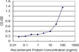 Sandwich ELISA detection sensitivity ranging from 3 ng/mL to 100 ng/mL.