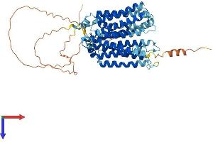 AlphaFold protein structure predicition of Mouse Recombinant Slc29a4 Protein, UniprotID Q8R139