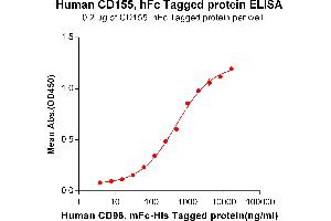 ELISA plate pre-coated by 2 μg/mL (100 μL/well) Human CD96, mFc-His tagged protein ABIN6961101, ABIN7042231 and ABIN7042232 can bind Human CD155, hFc tagged protein (ABIN6961168, ABIN7042365 and ABIN7042366) in a linear range of 62.