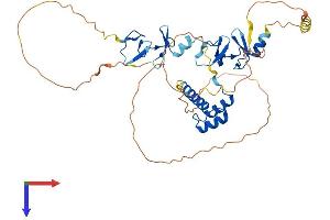 AlphaFold protein structure predicition of Mouse Recombinant Lhx2 Protein, UniprotID Q9Z0S2