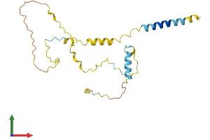 AlphaFold protein structure predicition of Mouse Recombinant Lat2 Protein, UniprotID Q9JHL0