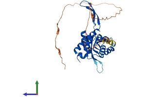 AlphaFold protein structure predicition of Human Recombinant UPRT Protein, UniprotID Q96BW1