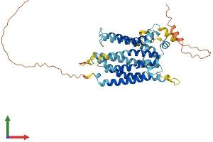 AlphaFold protein structure predicition of Mouse Recombinant Tmem184b Protein, UniprotID Q8BG09