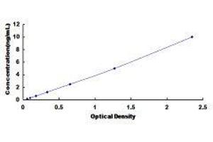 phosphoenolpyruvate Carboxykinase 1 (Soluble) (PCK1) ELISA Kit