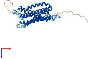 AlphaFold protein structure predicition of Mouse Recombinant Adora2b Protein, UniprotID Q60614