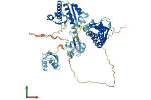 AlphaFold protein structure predicition of Human Recombinant IGF2BP2 Protein, UniprotID Q9Y6M1