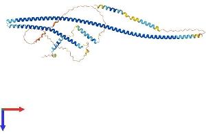 AlphaFold protein structure predicition of Mouse Recombinant Traf3ip3 Protein, UniprotID Q8C0G2