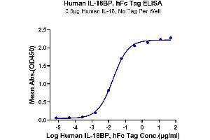 Immobilized Human IL-18 at 5 μg/mL (100 μL/Well) on the plate. (IL18BP Protein (AA 31-194) (Fc Tag))