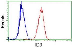 Image no. 14 for anti-Inhibitor of DNA Binding 3, Dominant Negative Helix-Loop-Helix Protein (ID3) antibody (ABIN1498779) (ID3 anticorps)