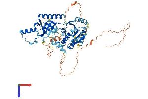AlphaFold protein structure predicition of Mouse Recombinant M1ap Protein, UniprotID Q9Z0E1