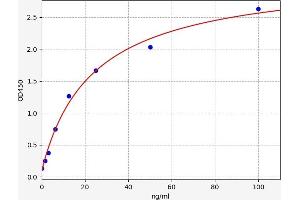 Typical standard curve (ELANE Kit ELISA)