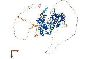 AlphaFold protein structure predicition of Mouse Recombinant Irak1 Protein, UniprotID Q62406