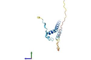 AlphaFold protein structure predicition of Mouse Recombinant Fam216b Protein, UniprotID Q8CC14