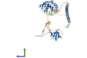 AlphaFold protein structure predicition of Mouse Recombinant Dbnl Protein, UniprotID Q62418