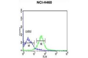 Flow Cytometry (FACS) image for anti-Protein Kinase A, alpha (PRKACA) antibody (ABIN3002818)
