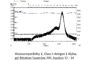 Image no. 3 for Histocompatibility 2, Class II Antigen E Alpha, Pseudogene (H2-EA-PS) (AA 26-255) protein (rho-1D4 tag) (ABIN3132417)
