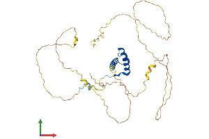 AlphaFold protein structure predicition of Mouse Recombinant Hoxa2 Protein, UniprotID P31245