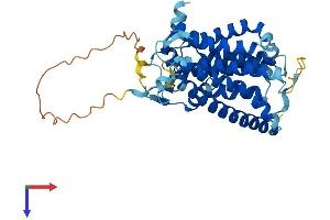 AlphaFold protein structure predicition of Human Recombinant SGPP2 Protein, UniprotID Q8IWX5