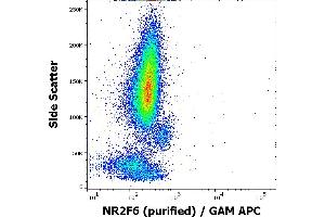 Flow cytometry intracellular staining pattern of human peripheral whole blood stained using anti-NR2F6 (EM-51) purified antibody (concentration in sample 3 μg/mL, GAM APC).