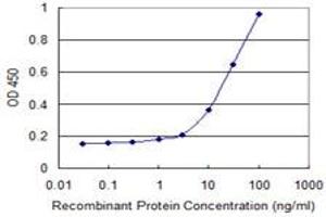 anti-THO Complex 3 (THOC3) (AA 252-351) antibody