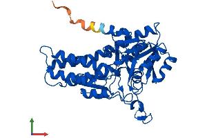 AlphaFold protein structure predicition of Human Recombinant MRI1 Protein, UniprotID Q9BV20