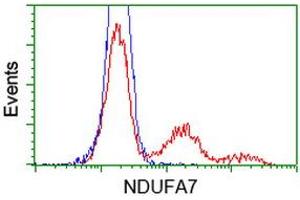 HEK293T cells transfected with either RC200534 overexpress plasmid (Red) or empty vector control plasmid (Blue) were immunostained by anti-NDUFA7 antibody (ABIN2454391), and then analyzed by flow cytometry. (NDUFA7 anticorps)