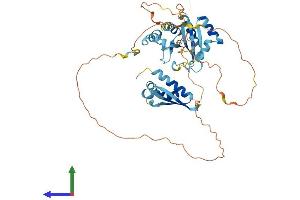 AlphaFold protein structure predicition of Human Recombinant HNRNPK Protein, UniprotID P61978