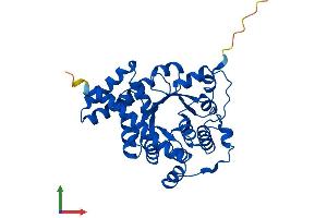 AlphaFold protein structure predicition of Human Recombinant TALDO1 Protein, UniprotID P37837
