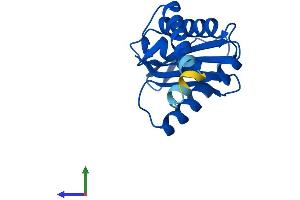 AlphaFold protein structure predicition of Human Recombinant AP1S1 Protein, UniprotID P61966
