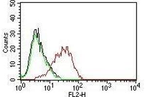 Flow Cytometry of human MCF-7 cells. (EpCAM anticorps  (PE))