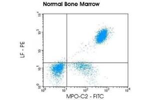 Image no. 1 for anti-Myeloperoxidase-C2 (FITC) and anti-Lactoferrin (PE) antibody pair (ABIN5662641)